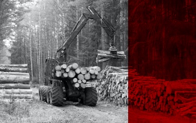 Vyvážecí stroje lesní hmoty